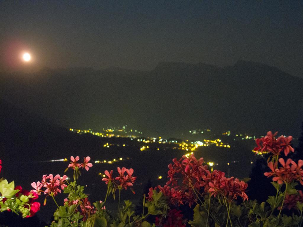 B&B Alba Sul Lago Pergine Valsugana Ngoại thất bức ảnh