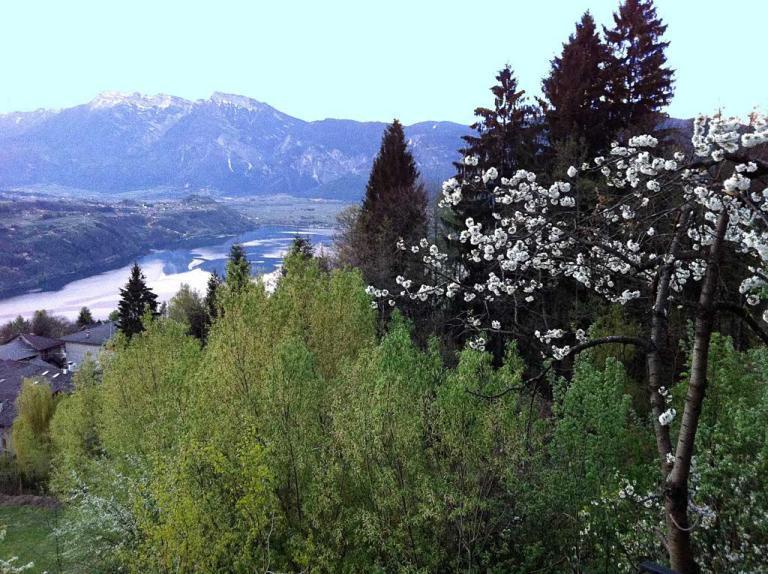 B&B Alba Sul Lago Pergine Valsugana Ngoại thất bức ảnh