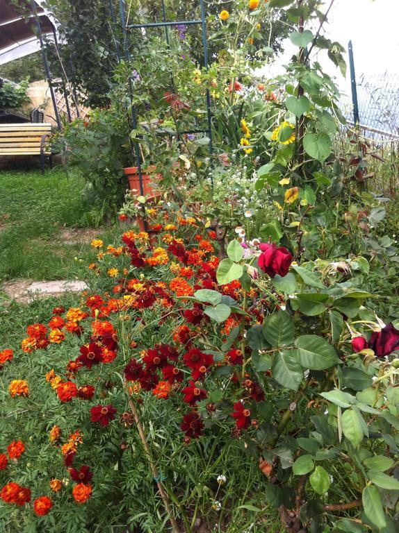 B&B Alba Sul Lago Pergine Valsugana Ngoại thất bức ảnh