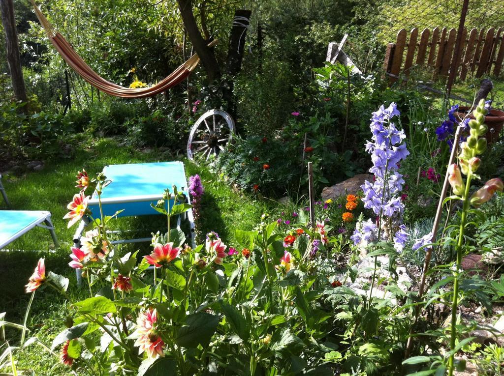 B&B Alba Sul Lago Pergine Valsugana Ngoại thất bức ảnh